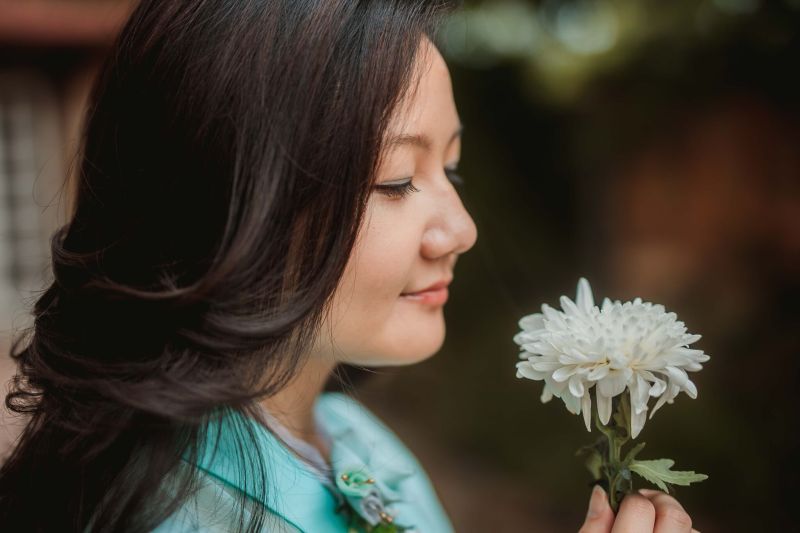 Fari Wu white chrysanthemum